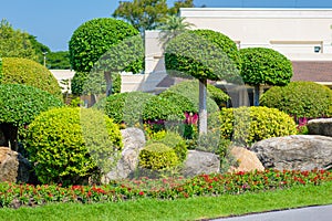 Gardening and Landscaping