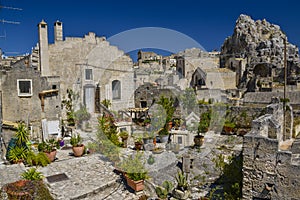 Gardening in matera