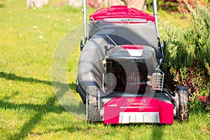 Gardening. Mowing green lawn with red lawnmower