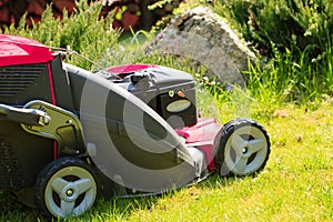 Gardening. Mowing green lawn with red lawnmower