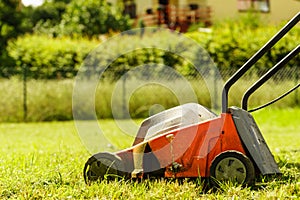 Gardening. Mowing lawn with lawnmower