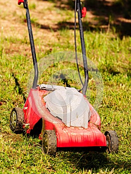 Gardening. Mowing lawn with lawnmower