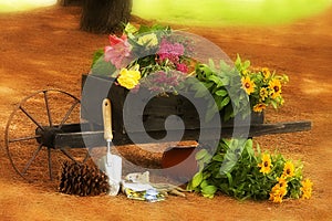 Gardening N' Wheelbarrel