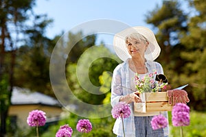 Senior woman garden tools and flowers at summer