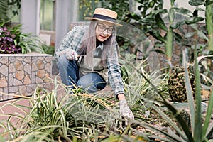 Gardening, planting concept. Charming senior gray haired woman in gloves, straw hat and casual clothes, greenhouse
