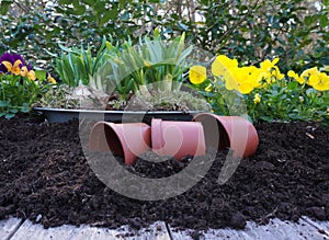 Gardening - planting concept. Set for Gardener and Flowerpots with flowers and plants at backgrounds. nice spring concept.