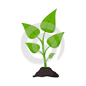 Gardening. Planting. Seedling in ground. Plant icon. Vector