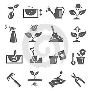 Gardening, plants growing bold black silhouette icons set isolated on white. Pomiculture, orcharding.