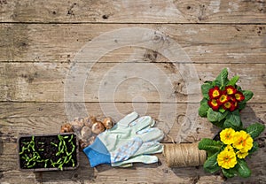 Gardening plants, seedlings, corms and tools