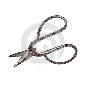 Gardening scissors isolated on white background.