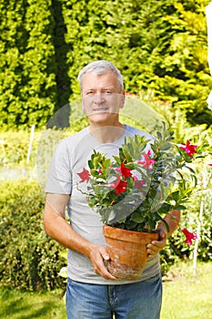 Gardening senior man