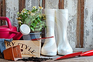 The gardening a shovel filled with soil and flowers potted tool in the garden summer spring time.