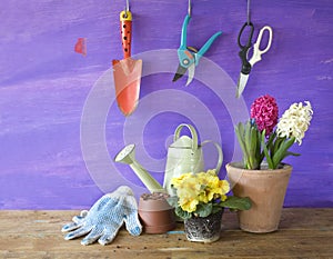 Gardening in the springtime,