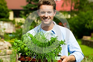 Gardening in summer - man with herbs