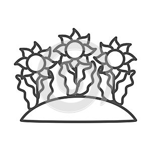 Gardening, sunflowers plantation environment nature line icon style