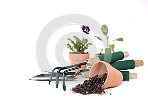 Gardening Supplies With Copy Space
