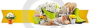 Gardening tool equipment, banner with copy space. Rubber boots, daisies, pot, flowers and watering can isolated on white