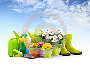 Gardening tool equipment. Daisies and colorful primroses, flowers pots, green rubber boots and watering can, garden trowel, spray