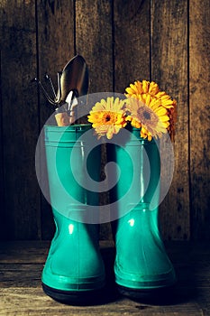 Gardening tools with blue rubber boots, yellow spring flowers on