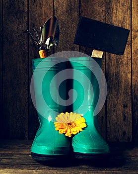 Gardening tools with blue rubber boots, yellow spring flowers on