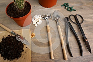 Gardening tools and bonsai care at home photo