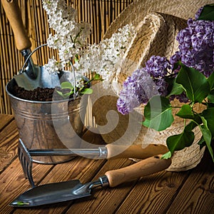 Gardening tools and a branch of a blossoming white lilac