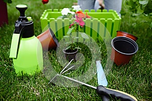 Gardening tools, closeup view, nobody