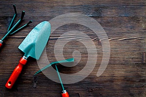 Gardening tools: spade, fork, hand cultivator, hoe on dark wooden background top view copy space