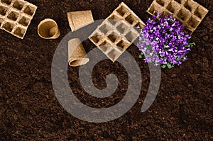 Gardening tools on garden soil texture background top view