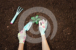 Gardening tools on fertile soil texture background top view.