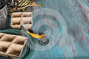 Gardening tools and flower bulbs on wooden background