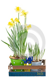 Gardening tools with flower pots