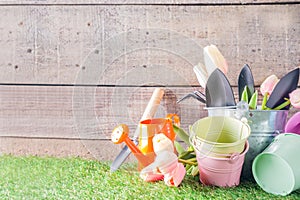 Gardening tools and flowers