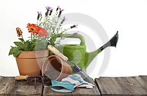 Gardening Tools and Flowers