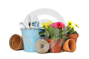 Gardening tools and flowers isolated on background