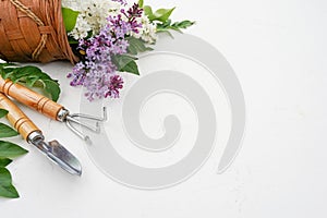 Gardening tools and flowers isolated on white with copy space