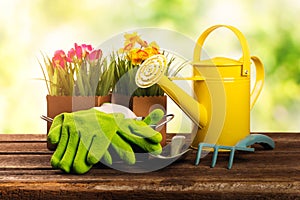 Gardening tools and flowers on old wooden table