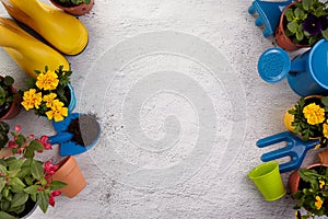 Gardening tools, flowers on pavement. Spring garden works concept. Layout with free space captured from above.