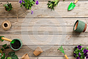 Gardening tools, flowers, plants and soil on vintage wooden table. Spring in the garden concept background with copy space for