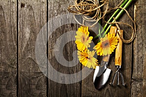 Gardening tools, flowers, rope, brushes and gardening gloves on