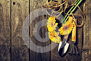 Gardening tools, flowers, rope, brushes and gardening gloves on