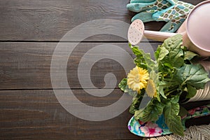 Gardening tools, flowers and rope on wooden table. Spring and work in the garden