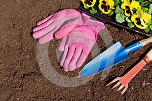 Gardening tools and flowers on soil background