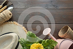 Gardening tools, flowers and soil on wooden table. Spring and work in the garden