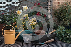 Gardening tools and flowers in spring