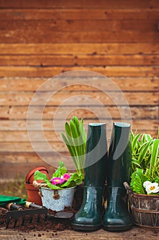 Gardening tools and flowers on the table in the garden