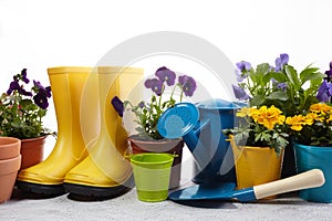 Gardening tools, flowers and watering can on white. Spring garden works concept.