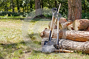 Gardening tools in the forest. Forest tree and chopped tree logs in a pile. Lush vegetation and grass background. photo