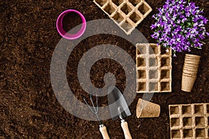 Gardening tools on garden soil texture background top view