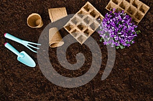Gardening tools on garden soil texture background top view